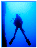 Diver