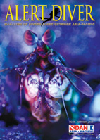 September - December 2012 Magazine